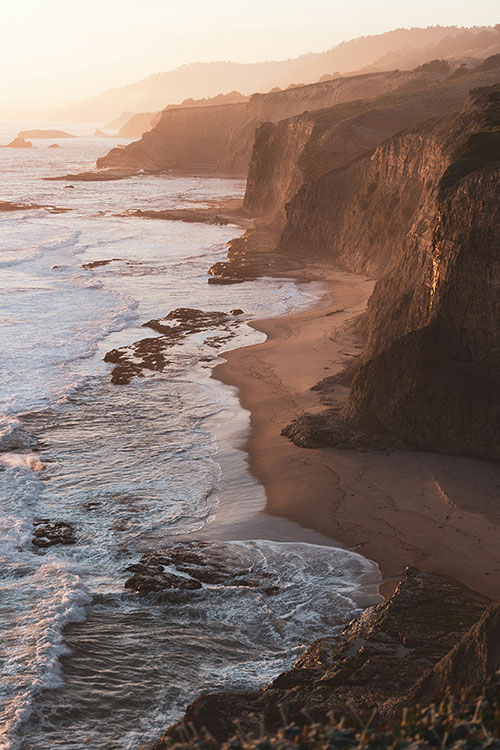 Animal-assisted psychtherapy with a therapy dog in Pacific Grove, Monterey Bay CA